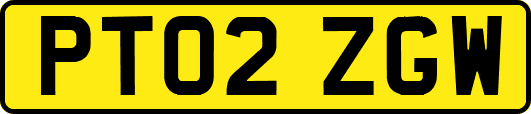 PT02ZGW