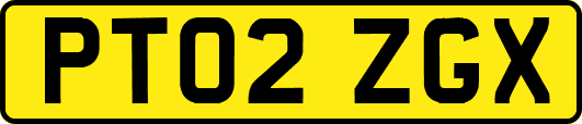 PT02ZGX