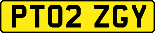 PT02ZGY