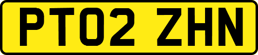 PT02ZHN