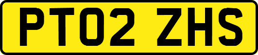 PT02ZHS