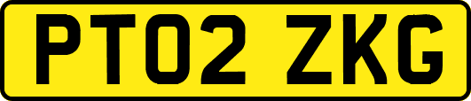 PT02ZKG
