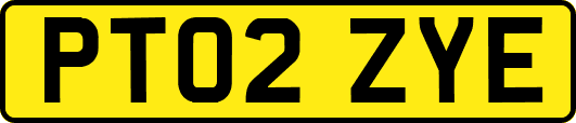 PT02ZYE