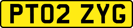 PT02ZYG