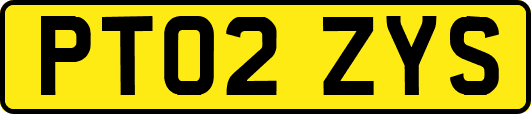 PT02ZYS
