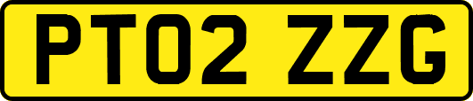 PT02ZZG