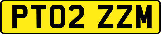 PT02ZZM