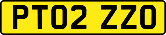 PT02ZZO