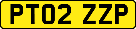 PT02ZZP