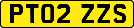 PT02ZZS