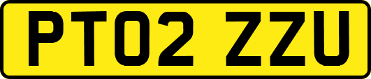 PT02ZZU