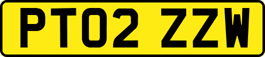 PT02ZZW