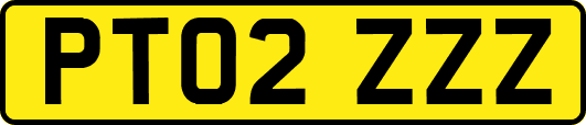 PT02ZZZ
