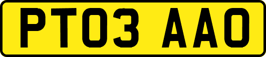 PT03AAO