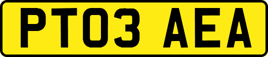 PT03AEA
