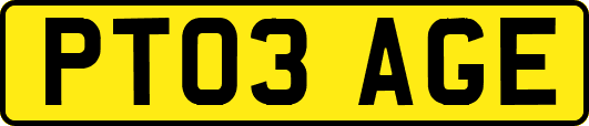PT03AGE