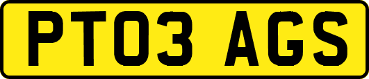 PT03AGS