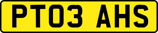 PT03AHS