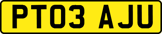 PT03AJU