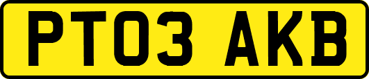 PT03AKB