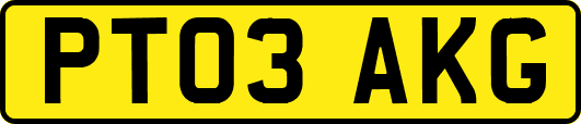 PT03AKG