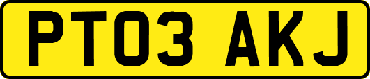PT03AKJ