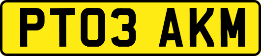 PT03AKM