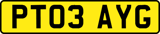 PT03AYG