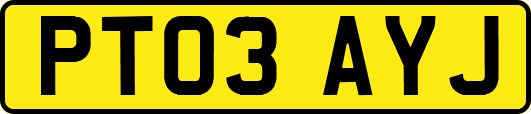 PT03AYJ