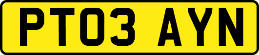 PT03AYN