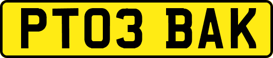 PT03BAK