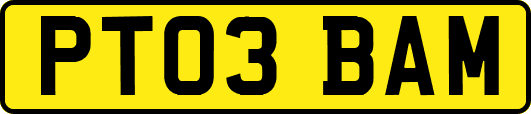 PT03BAM