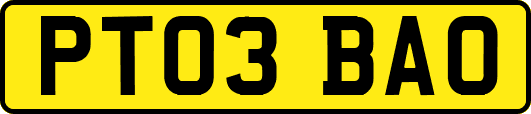 PT03BAO