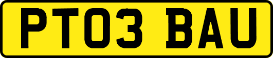 PT03BAU