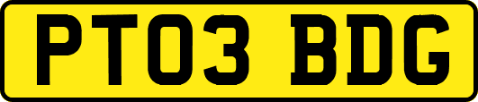 PT03BDG