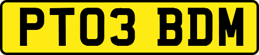 PT03BDM