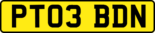 PT03BDN