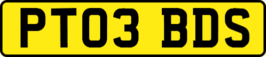 PT03BDS