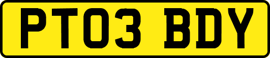 PT03BDY