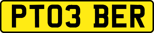 PT03BER