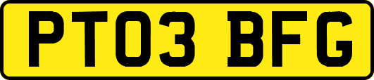 PT03BFG