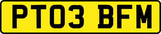 PT03BFM