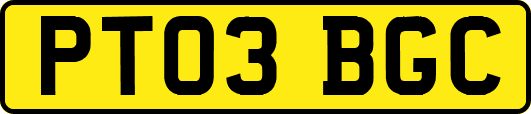 PT03BGC