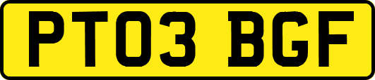 PT03BGF