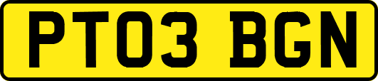 PT03BGN