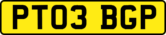 PT03BGP