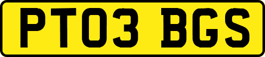PT03BGS