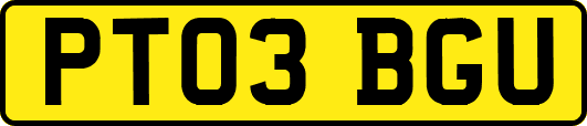 PT03BGU