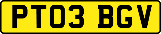 PT03BGV