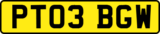 PT03BGW